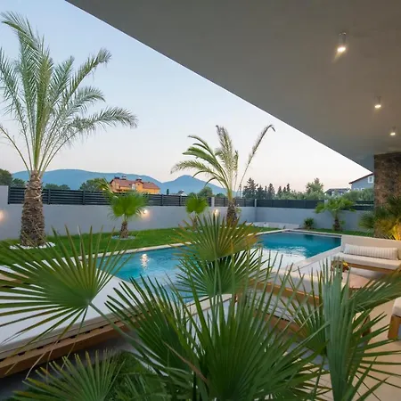 Zaya Homes